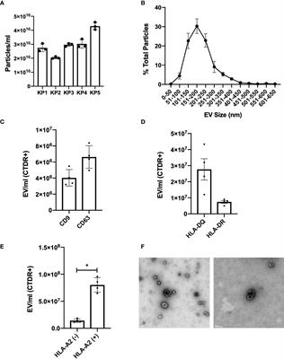 Extracellular Vesicles From Kidney Allografts Express miR-218-5p and Alter Th17/Treg Ratios